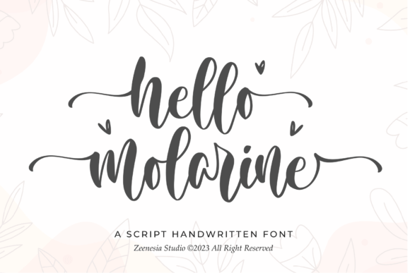 Elevate Your Brand with Hello Molarine Script Font